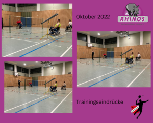 Rollstuhlbadmintonspieler beim Training in einer Sporthalle.