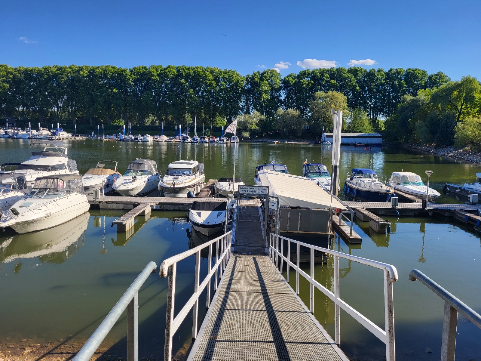 Boote im Hafen mit Steg und Bäumen im Hintergrund.
