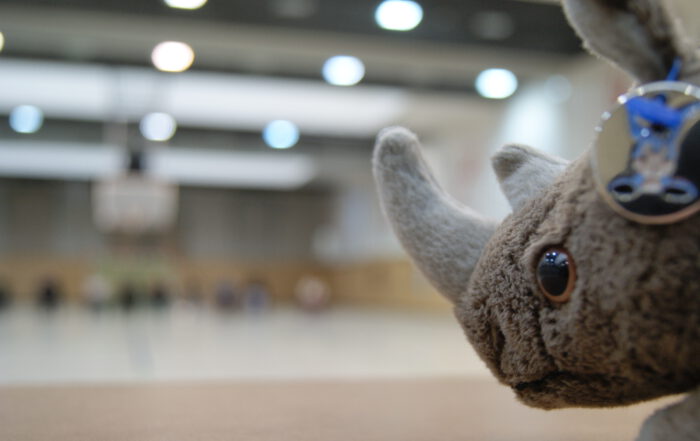 Plüsch-Nashorn im Anschnitt, im Hintergrund unscharf eine Turnhalle