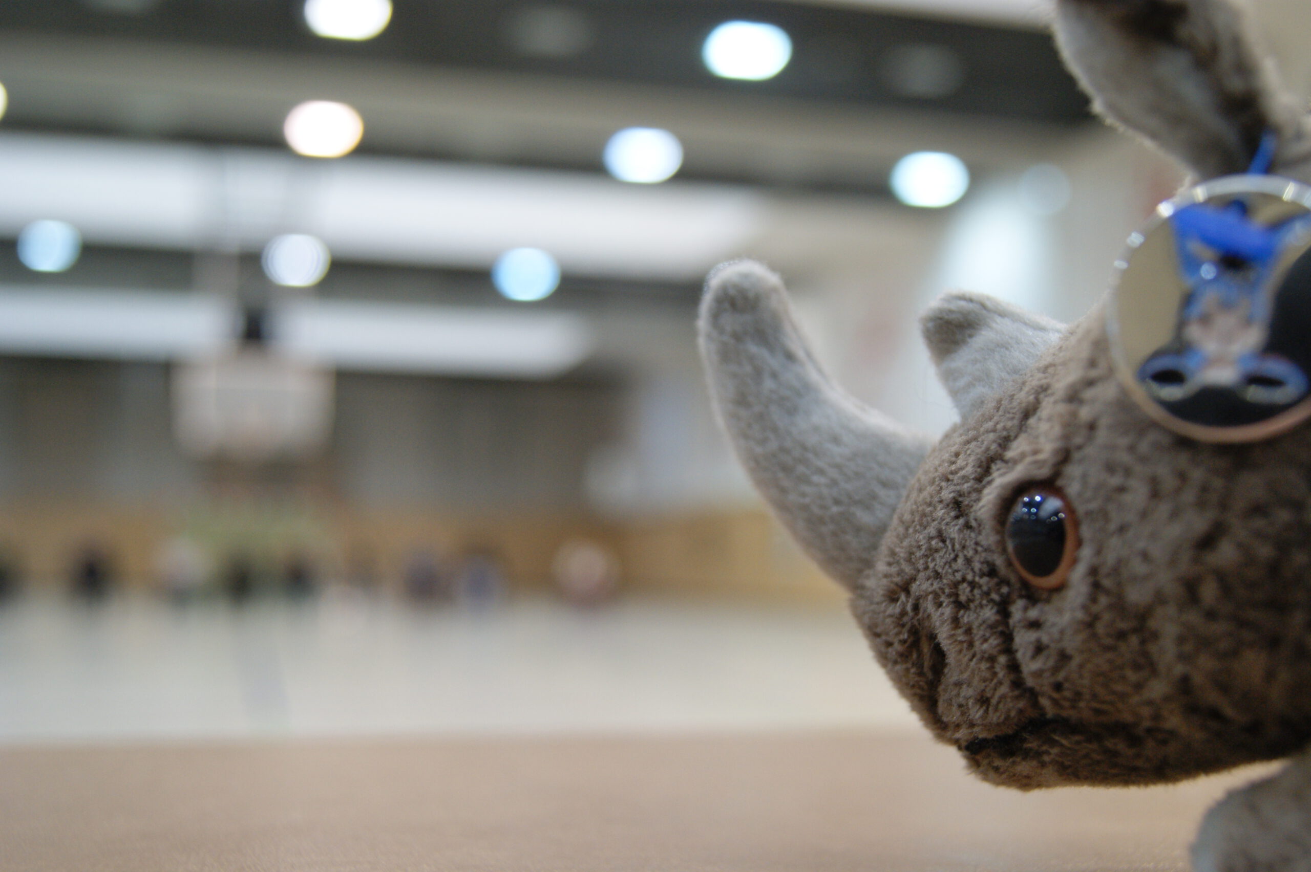 Plüsch-Nashorn im Anschnitt, im Hintergrund unscharf eine Turnhalle
